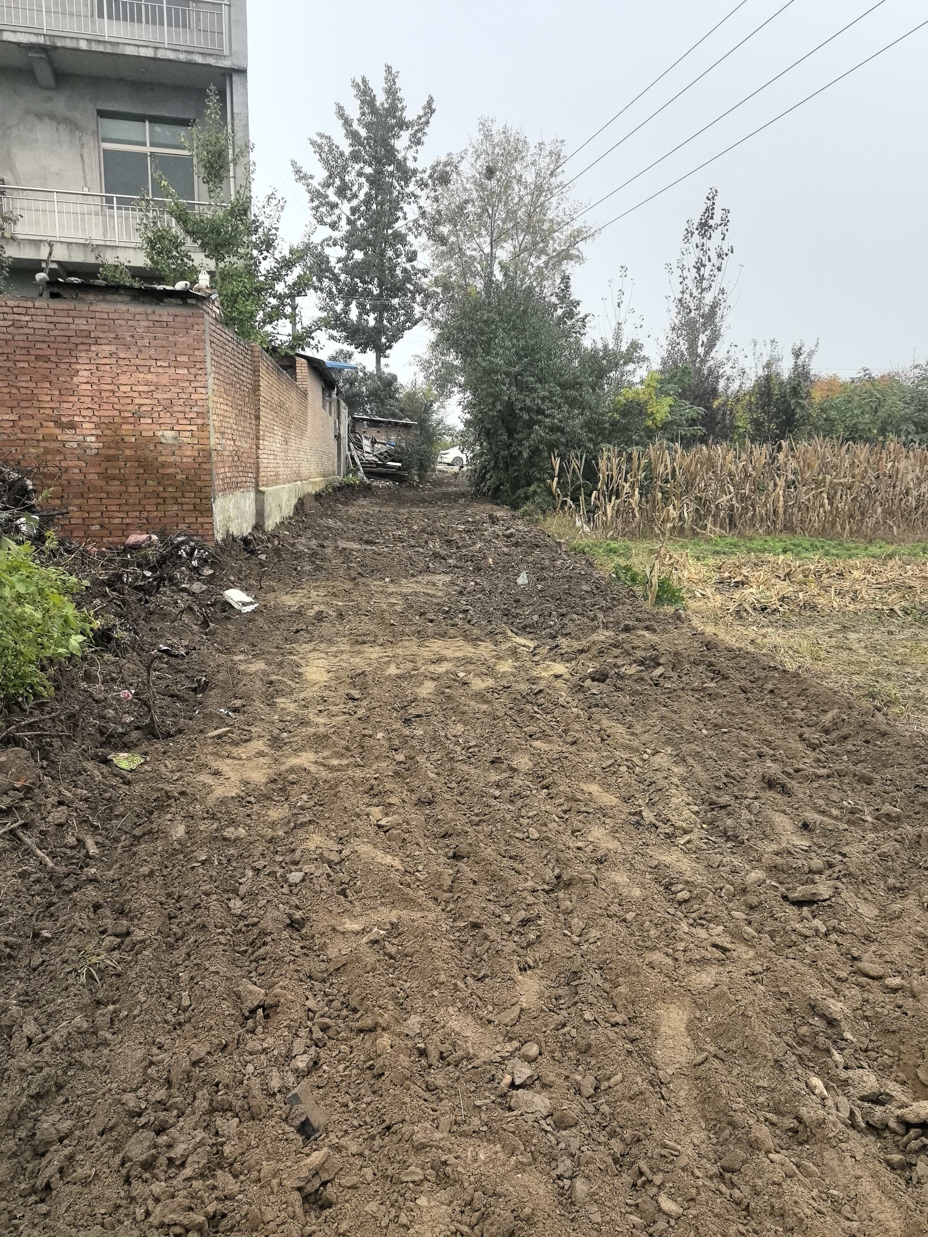 ���Ź����217��(�й���)����